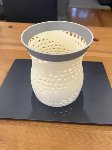 Chậu Lan #2: Cấu Trúc Voronoi Lai - Image 1