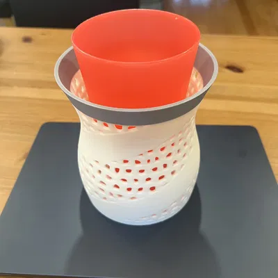 Chậu Lan #2: Cấu Trúc Voronoi Lai