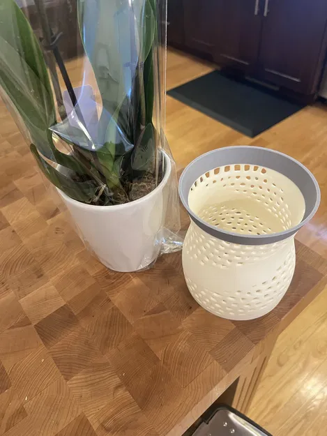 Chậu Lan #2: Cấu Trúc Voronoi Lai - Image 4