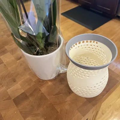 Chậu Lan #2: Cấu Trúc Voronoi Lai