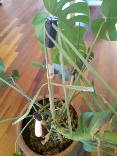 Nắp chụp cho cây chống đỡ đặt trên cọc tre - Image 1