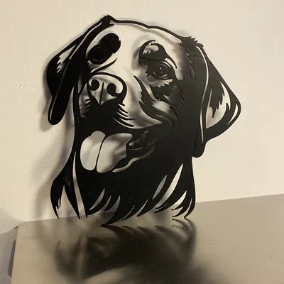 Trang Trí Tường Hình Bóng Chó Labrador