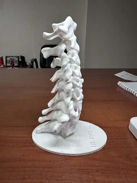 Chân đế đốt sống cổ - Image 2