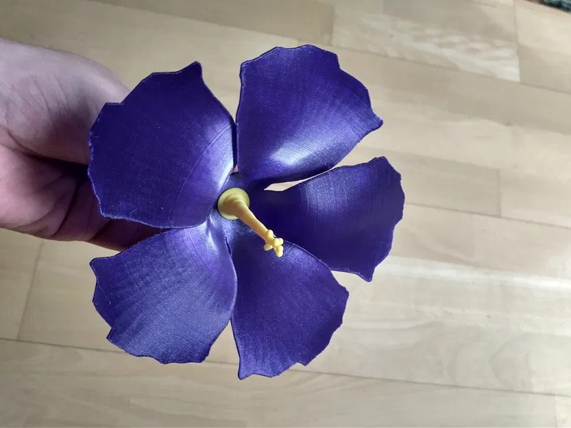 Hoa Dâm Bụt 3D - Image 1