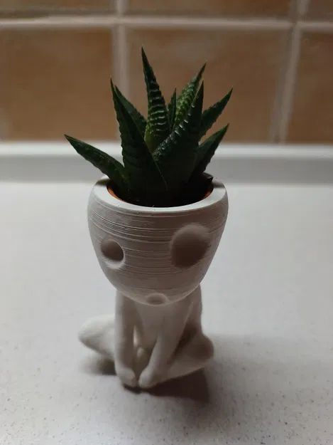 Chậu Kodama Có Lỗ Cho Sen Đá IKEA Haworthia - Image 1