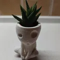Chậu Kodama Có Lỗ Cho Sen Đá IKEA Haworthia - Thumbnail 1
