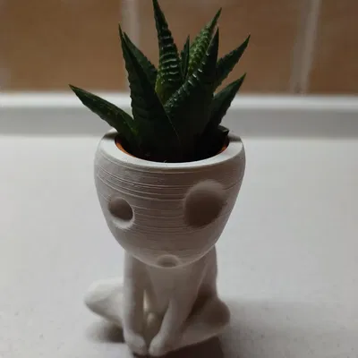 Chậu Kodama Có Lỗ Cho Sen Đá IKEA Haworthia
