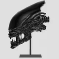 Tượng Xenomorph - Mô hình 3D - Thumbnail 1