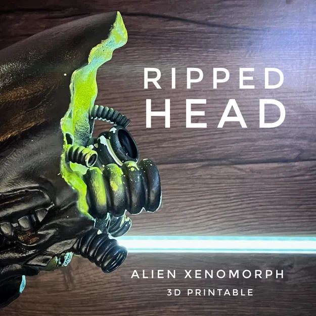 Tượng Xenomorph - Mô hình 3D - Image 7