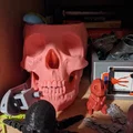 Chậu Cây Hình Đầu Lâu - Thumbnail 7