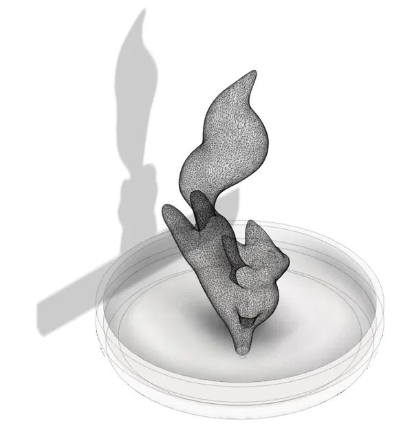 Khay Đựng Nhẫn Hình Cáo Đang Nhảy Múa - Image 2