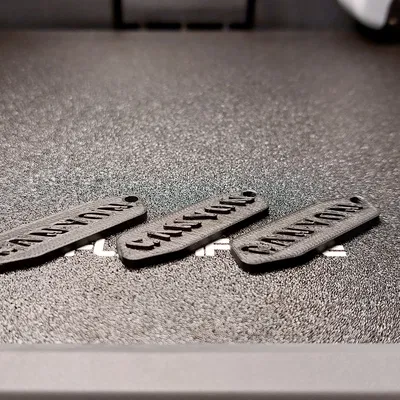 Móc Khóa Logo Canyon - 3 Phiên Bản