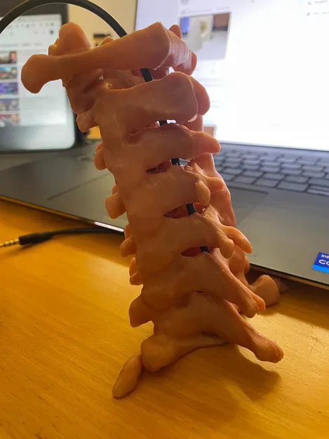 Cột sống cổ (C1 đến C7) - Image 1