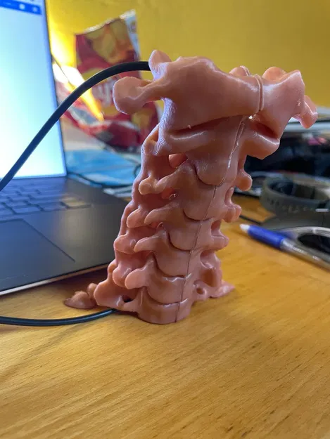 Cột sống cổ (C1 đến C7) - Image 2