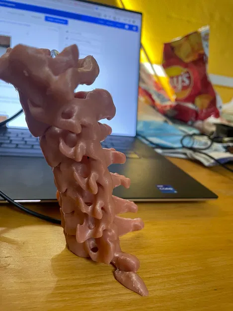 Cột sống cổ (C1 đến C7) - Image 3