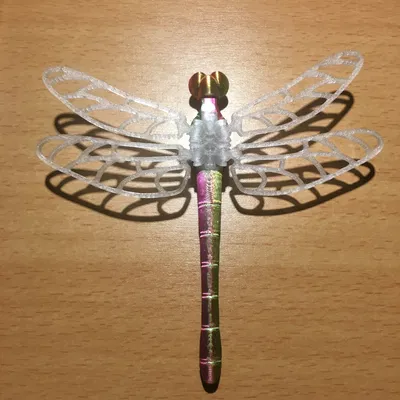 Gốc cánh PETG và thân PLA cho Voronoi Dragonfly