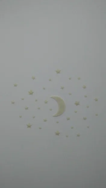Mặt Trăng Và Các Vì Sao Phát Sáng - Image 2