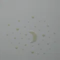 Mặt Trăng Và Các Vì Sao Phát Sáng - Thumbnail 2