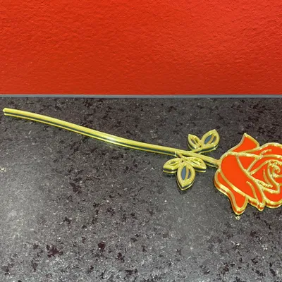 Hoa Hồng Ngày Lễ Tình Nhân