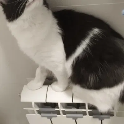 Tấm chắn bảo vệ ngón chân mèo cho máy sưởi