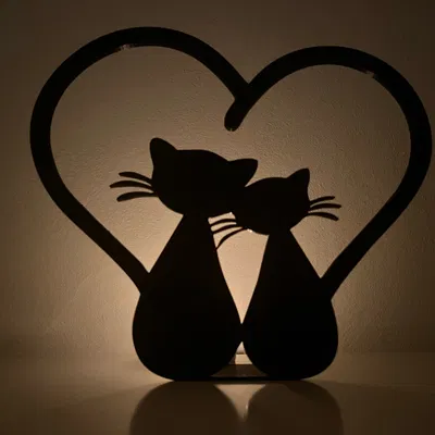 Mèo Yêu Nhau