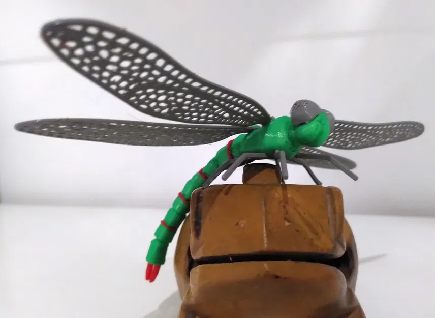 Mô hình 3D Con Chuồn Chuồn - Image 1