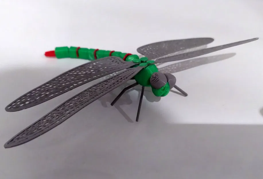 Mô hình 3D Con Chuồn Chuồn - Image 2