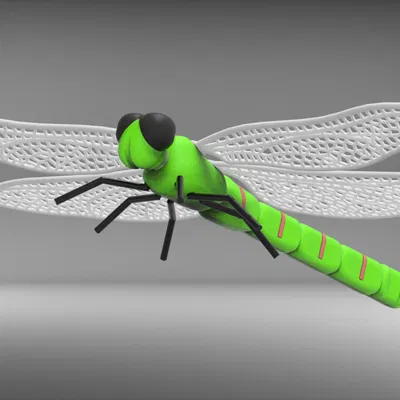 Mô hình 3D Con Chuồn Chuồn