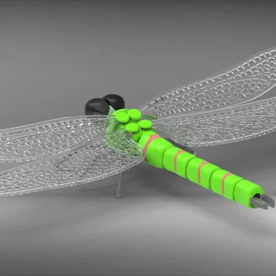 Mô hình 3D Con Chuồn Chuồn