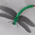Mô hình 3D Con Chuồn Chuồn - Thumbnail 5