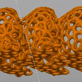 Mô Hình Tardigrade_voro