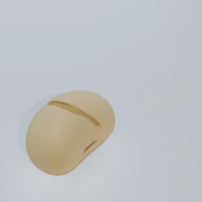 Mô hình Đậu Nành