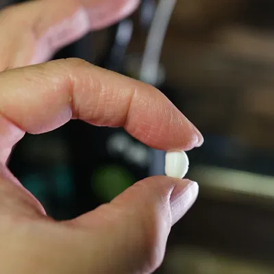 Mô hình Đậu Nành