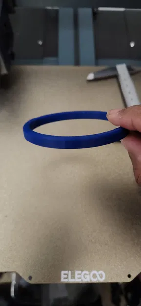 Vòng Cho Cá Ăn - Image 2