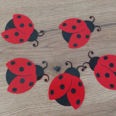 Trang Trí Tường Hình Con Bọ Rùa