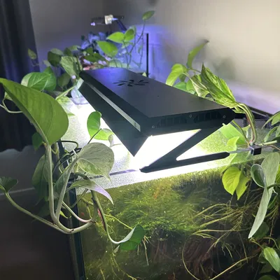 Chụp Đèn Hồ Cá - Tuần Aqua Dòng P