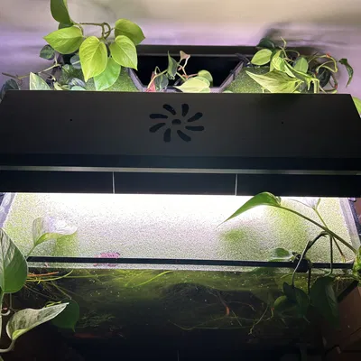 Chụp Đèn Hồ Cá - Tuần Aqua Dòng P