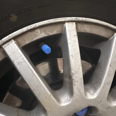 Nắp Van Lốp Xe VW