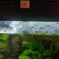Phụ kiện chặn bèo cho hồ cá - Thumbnail 3
