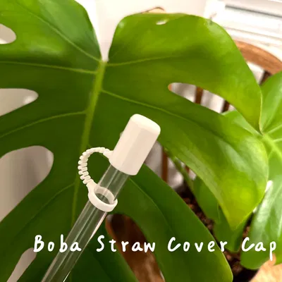 Nắp Bọc Ống Hút Trà Sữa Trân Châu và Sinh Tố