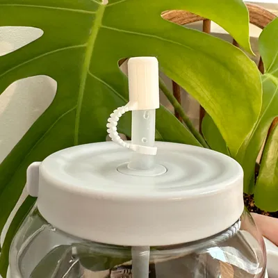 Nắp Bọc Ống Hút Trà Sữa Trân Châu và Sinh Tố