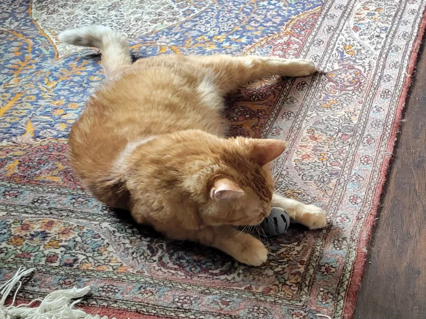 Đồ Chơi Mèo - Trái Banh Trong Trái Banh - Image 1