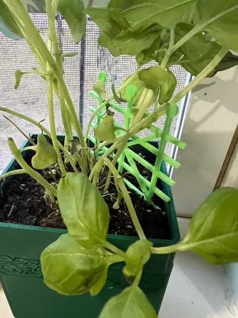 Giàn Leo Mini Cho Chậu Cây - Image 2