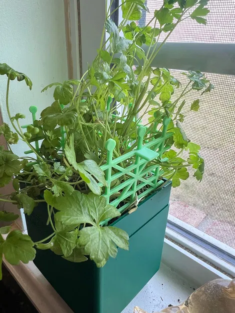 Giàn Leo Mini Cho Chậu Cây - Image 3