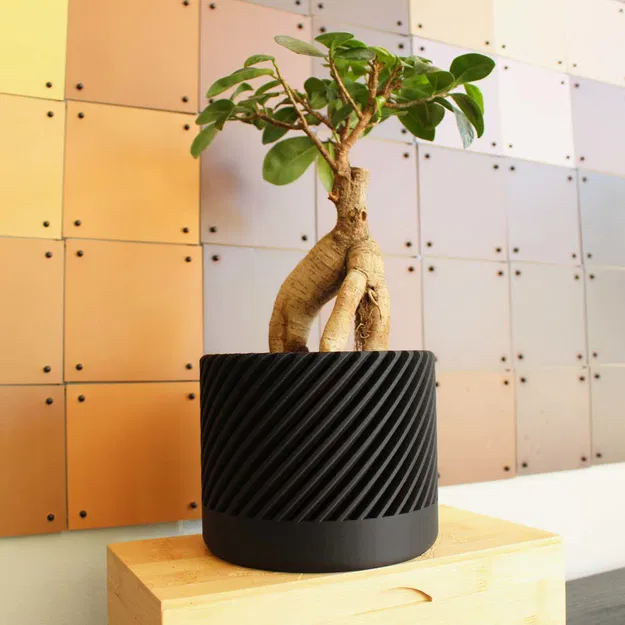 Chậu Cây Hiện Đại Kiểu Xoắn Ốc - Image 4