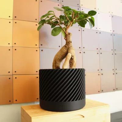 Chậu Cây Hiện Đại Kiểu Xoắn Ốc