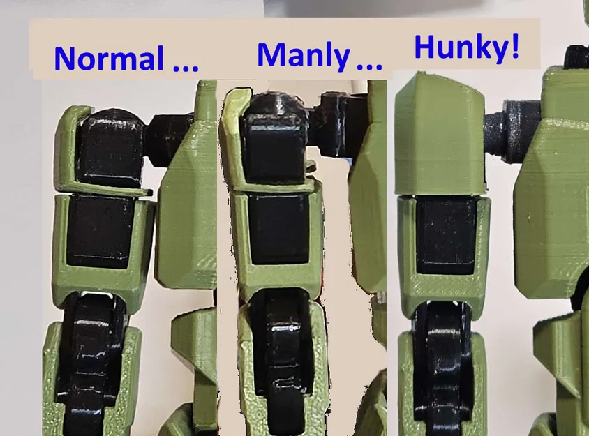 Hunky 13 (Biến thể Dummy 13) Khung xương đòn, ống chân và đùi lớn hơn. - Image 1