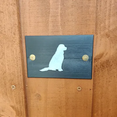 Biển Chó (Golden Retriever)