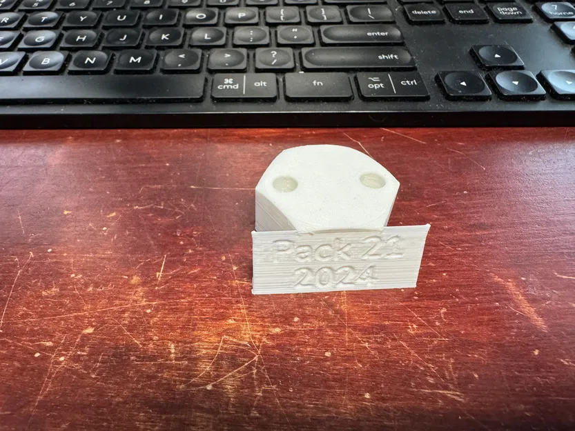 Cúp Bugi Pinewood Derby - Image 5