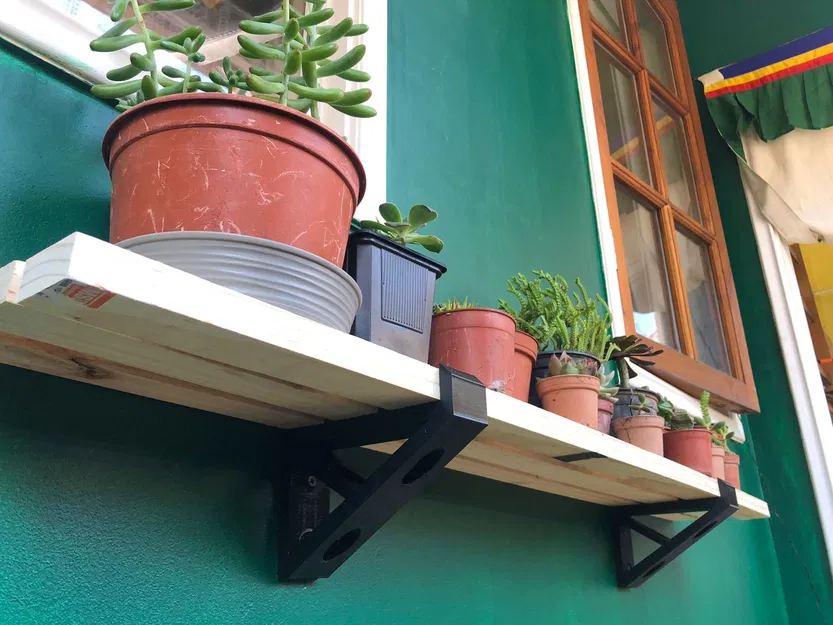 Kệ Treo Tường Trang Trí Cây Cảnh - Image 1